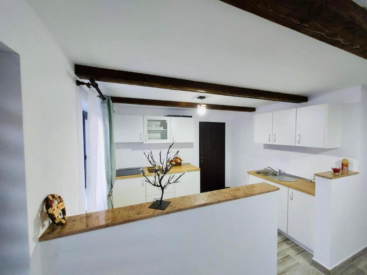 Casa Radu Apartman Lajosfalva Kültér fotó